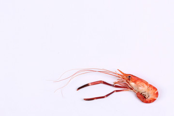 Streamed large fresh prawns isolated on white background