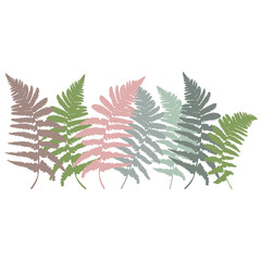  Floral border with hand drawn wild  fern leaves in brown,green, pink,teal and gray pastel colors.