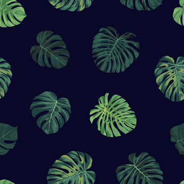 Seamless vector tropical botanical pattern with green monstera palm leaves. Exotic hawaiian fabric design.