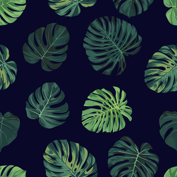 Vector seamless pattern with green monstera palm leaves on dark background. Summer tropical fabric design.