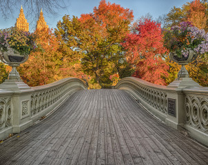 Bow bridge Central Park