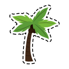 palm tree icon image vector illustration design 