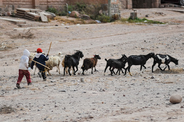Children with their goats in the Andes, Argentina.