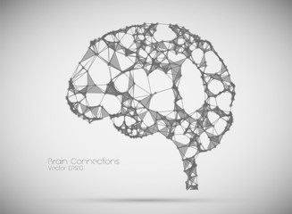 vector brain connection