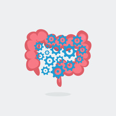 Large intestine vector illustration