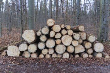Holzstapel