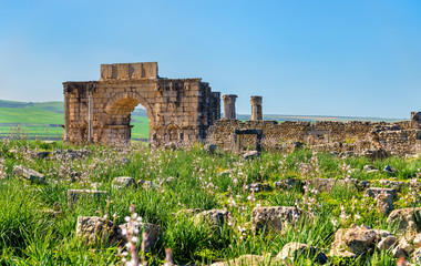 Fototapeta na wymiar Caracalla Triumphal Arch at Volubilis, a UNESCO heritage site in Morocco