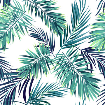 Fototapeta Tropikalny wzór z zielonymi liśćmi palmowymi na wymiar 