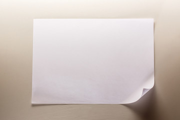 Blank sheet of paper