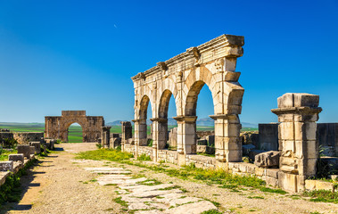 Decumanus Maximus, the main street of Volubilis, an ancient Roman town in Morocco