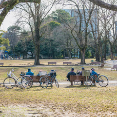 Obraz premium 公園の老人