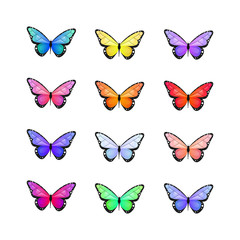 Butterfly. Vector illustration. Colorful butterfly on white background.