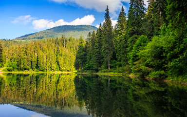 Fototapeta na wymiar mountain lake among the forest