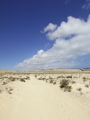 Island, beach , travel, meer, sonne, licht, sand, steine, dose, mond, laptop,stimmung