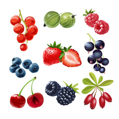 Set of icons juicy ripe berries