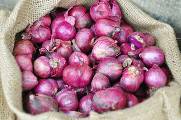 Purple onion in burlap sack in asia