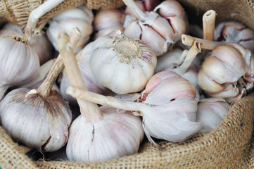 Dried whole garlic in burlap sack in asia