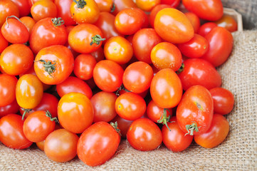 Red small fresh tomatoes