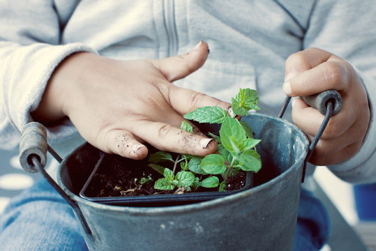 Close-up of child planting a plant