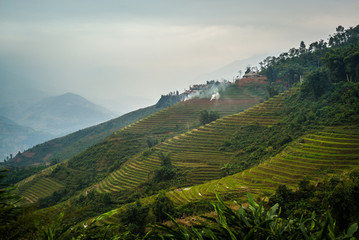 Rice terraces in Sapa, Vietnam