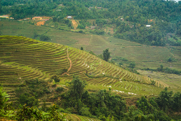Fototapeta na wymiar Rice terraces in Sapa, Vietnam