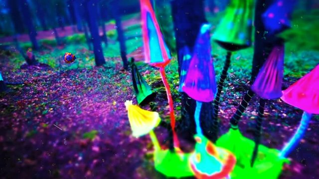 Mushroom trip VJ loop
