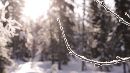 norway winter
