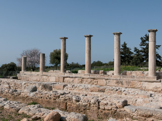 Fototapeta premium Temple of Apollo near Kourion Cyprus Europe