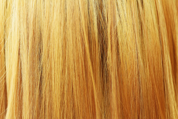 The beautiful blond hair as a background