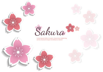 Fototapeta na wymiar Cherry blossom flowers background. Sakura pink flowers background.