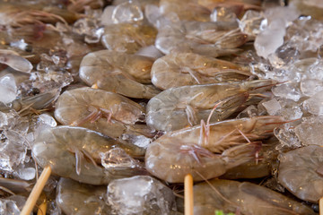 Fresh shrimp in the Asian market
