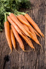 Carrot. Fresh Carrots bunch. Baby carrots. Raw fresh organic orange carrots. Healthy vegan vegetable food.