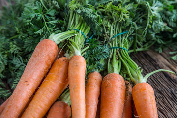 Carrot. Fresh Carrots bunch. Baby carrots. Raw fresh organic orange carrots. Healthy vegan vegetable food.