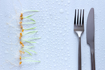 Row of wheat sprouts and fork with knife.  Light background with water drops. Healthy food concept