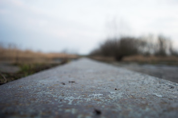 Ścieka w bokeh © Piotr
