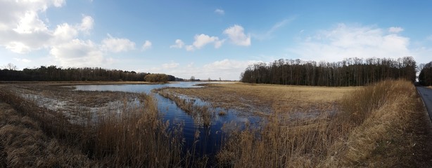 Jezioro panorama © michalsen