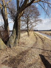 Przedwiośnie © michalsen