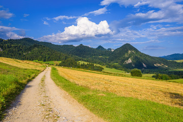 Fototapeta na wymiar Idyllic rural scenery with fields in the environment of mountains and clouds on the blue sky. Pieniny National Park. Malopolska, Poland.