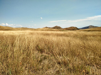 Stepy gruzja kachetia © Artur