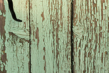 Old Wooden Shabby Texture - obrazy, fototapety, plakaty