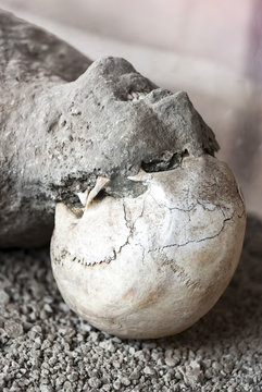 victim in pompeii of the eruption of mt vesuvius