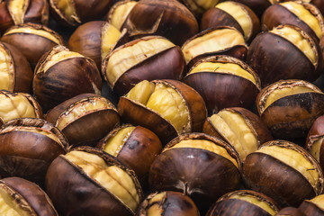 Chestnut