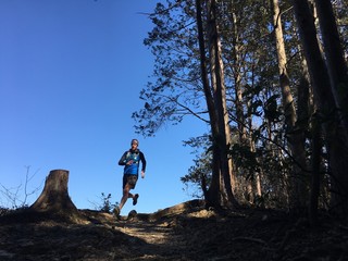 Man running on mountain forest trail