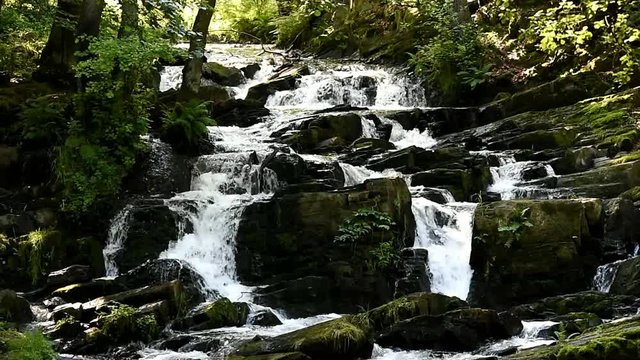 Selkefall bei Alexisbad