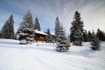 hut between spruce trees in winter