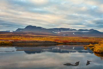 The bright colors of autumn in the mountains and on the river. Polar Urals. Russia.