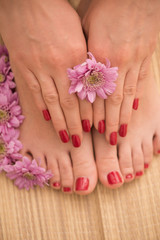 female feet and hands at spa salon
