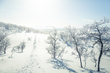 A beautiful white landscape of a snowy Norwegian winter day with footprints