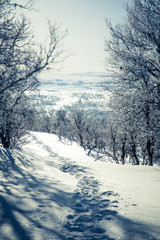 Obraz premium A beautiful white landscape of a snowy Norwegian winter day with footprints