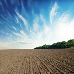 black agricultural field and blue sky with clouds